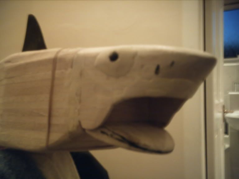 shark rc bodies